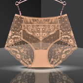 亲肤透气棉裆女士三角内裤 外贸单正品 式 性感款 中高腰女士蕾丝内裤