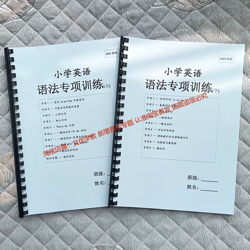 小学英语语法专项训练知识点总结
