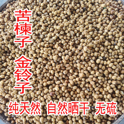 大别山野生苦楝子 天然无硫金铃子苦楝豆子 苦楝籽天然楝实批发
