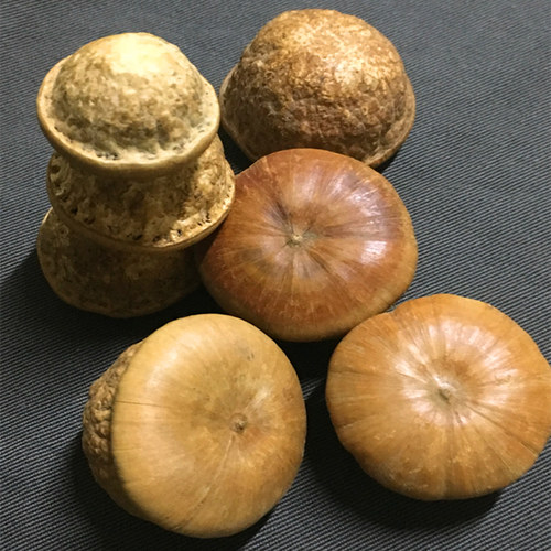 广东特产风流果干货煲汤泡酒泡水