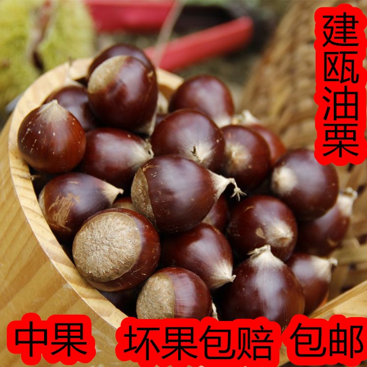 建瓯锥栗毛榛子新鲜粉糯甘甜5斤