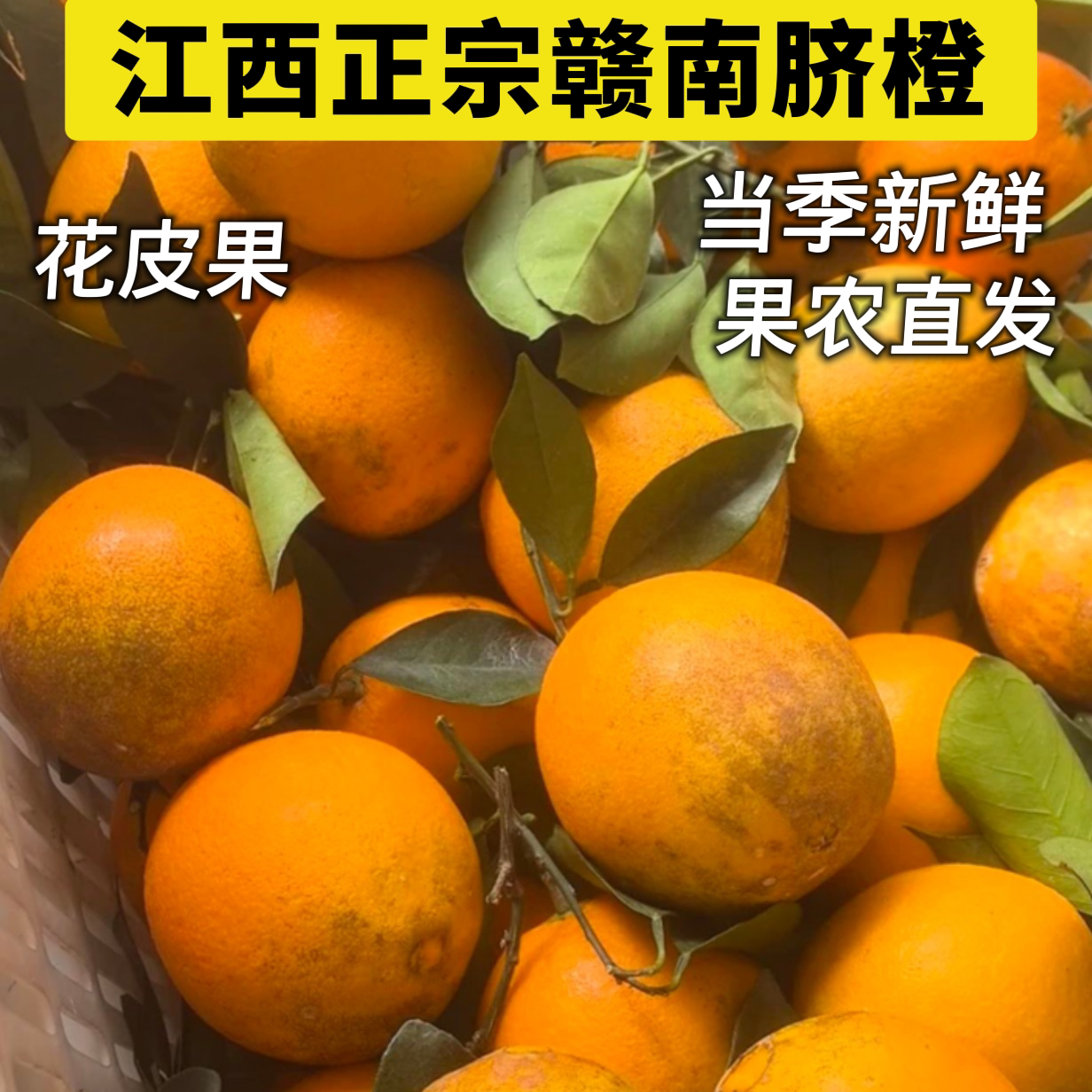 江西赣南脐橙当季新鲜十斤大果包邮花皮果手剥橙子榨汁水果批发价