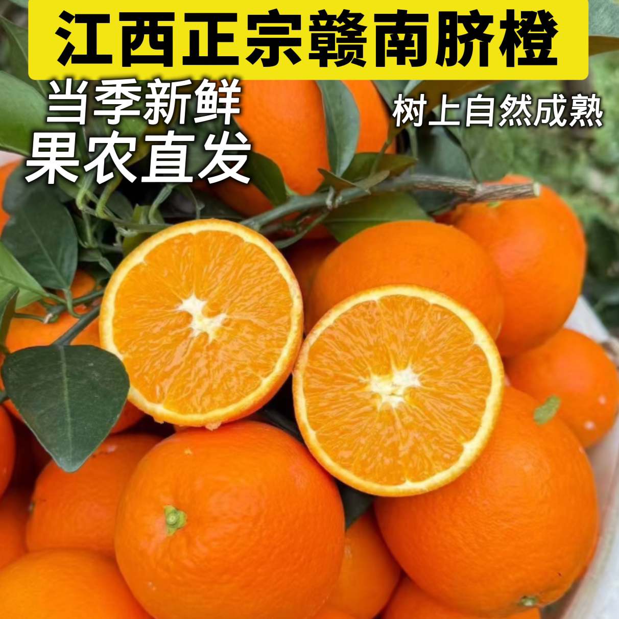 江西赣南脐橙当季现摘9斤大果包邮老树果更香甜水果橙子产地直发