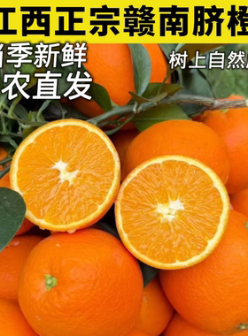 江西赣南脐橙当季现摘9斤大果包邮老树果更香甜水果橙子产地直发