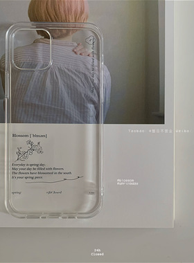 整日不营业原创「Blossom春日」ins风透明适用于苹果iPhone17promax手机壳全包磨砂16pro苹果硅胶保护套软壳