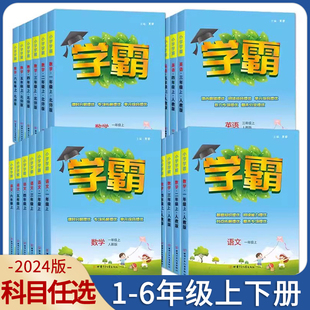 123456年级练习册教材专项提优课时作业本同步训练经纶学典 PEP版 RJ版 2024春小学学霸一二三四五六年级上册下册语文数学英语人教版