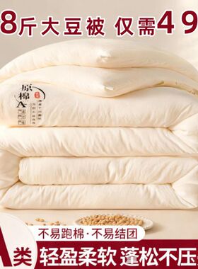 顺丰包邮大豆纤维被子冬被加厚春秋被芯四季通用棉被宿舍单人学生