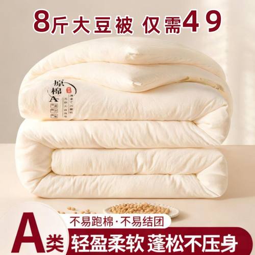 顺丰包邮大豆纤维被子冬被加厚春秋被芯四季通用棉被宿舍单人学生