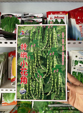 特嫩小花角豆角种子东北农家八月忙豆角籽花皮豆角子搭架恋秋无筋