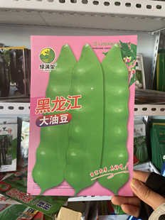 黑龙江大油豆种子东北农家油豆角籽宽油豆角青豆角开过烂吃到秋