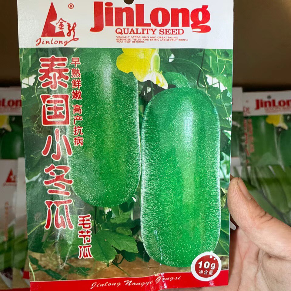 泰国小冬瓜种籽迷你水果冬瓜种子蔬菜冬瓜籽庭院10克包邮