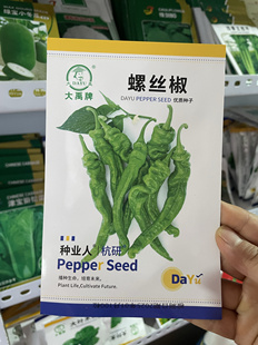 螺丝椒种子香辣螺丝椒籽农家菜园辣椒种籽褶子椒蔬菜种子