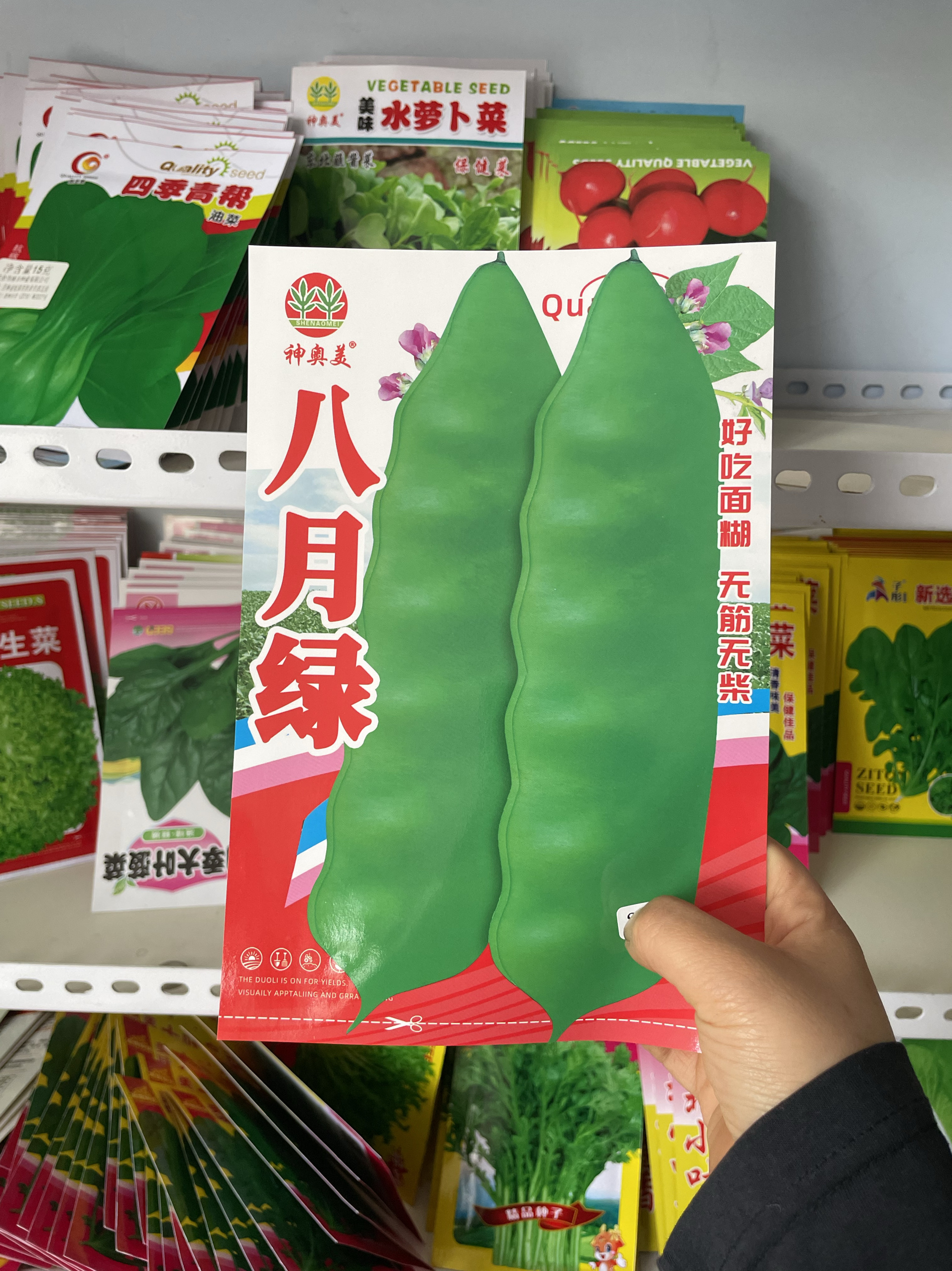 八月绿油豆角种子东北油豆角籽搭架油豆角种籽无筋无柴包邮