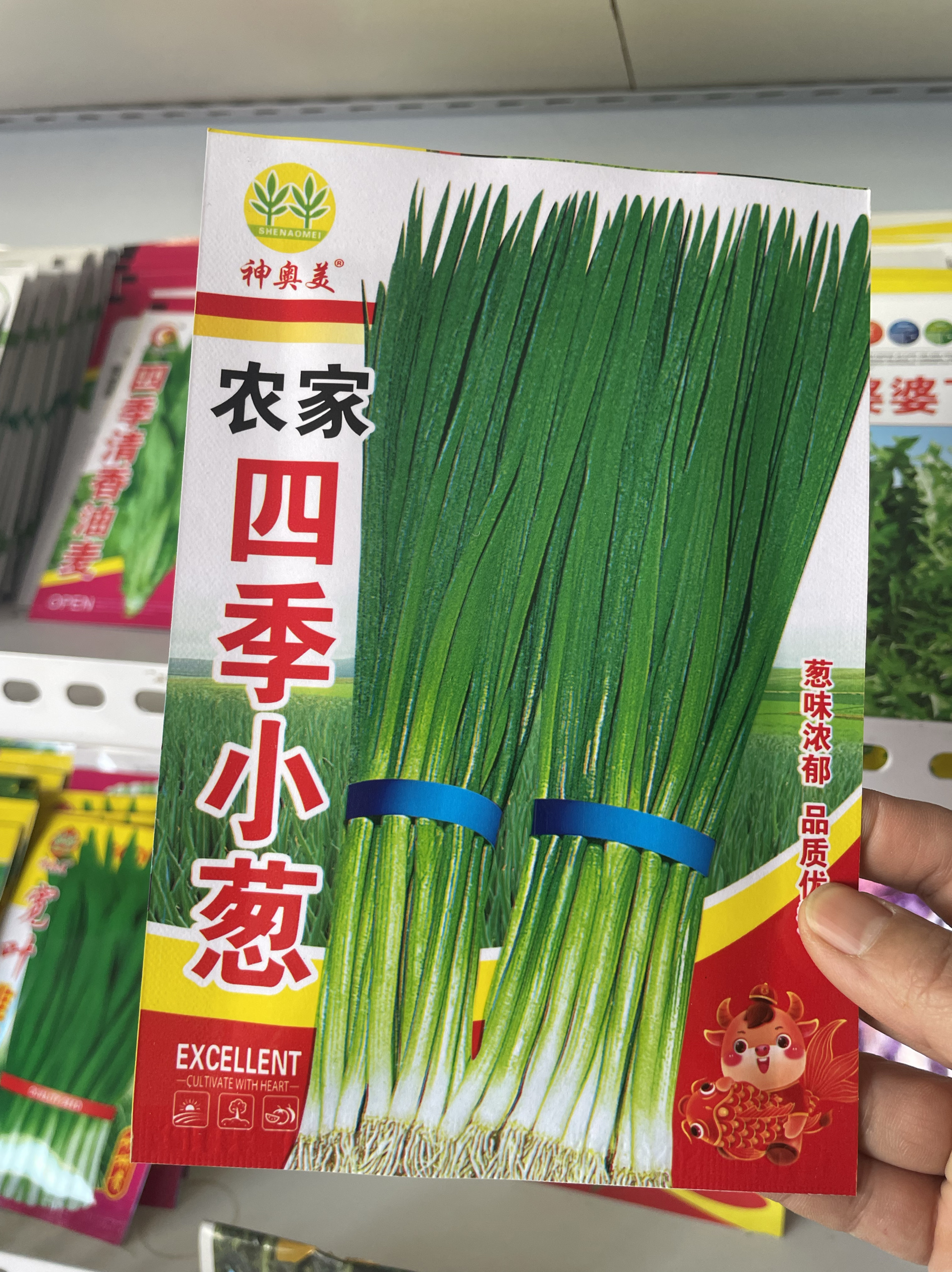 农家小葱籽今年新籽蘸酱菜辣味浓