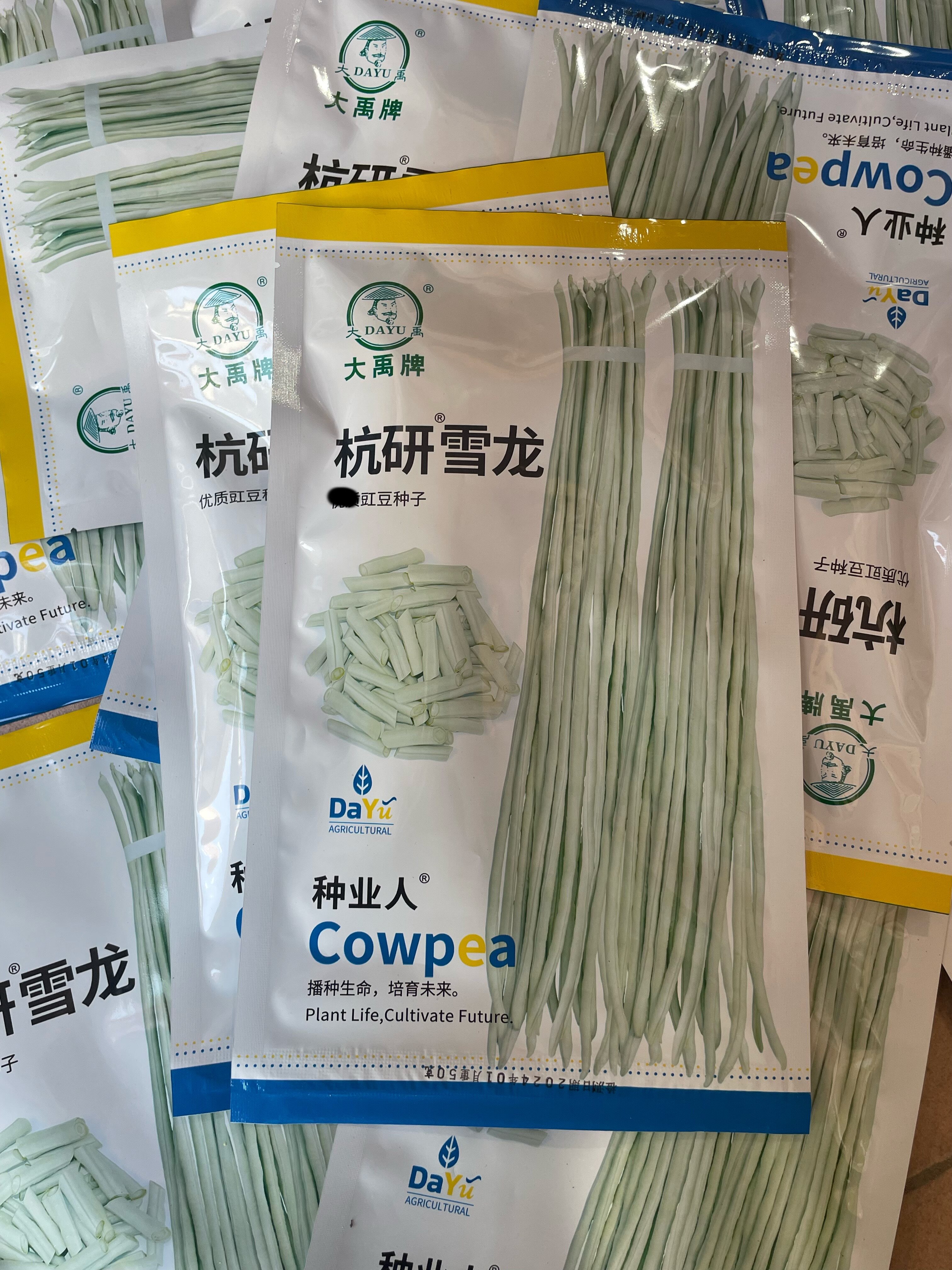大禹牌杭研雪龙豇豆种子嫩白豇豆角种子长豆角籽十八豆50克包邮