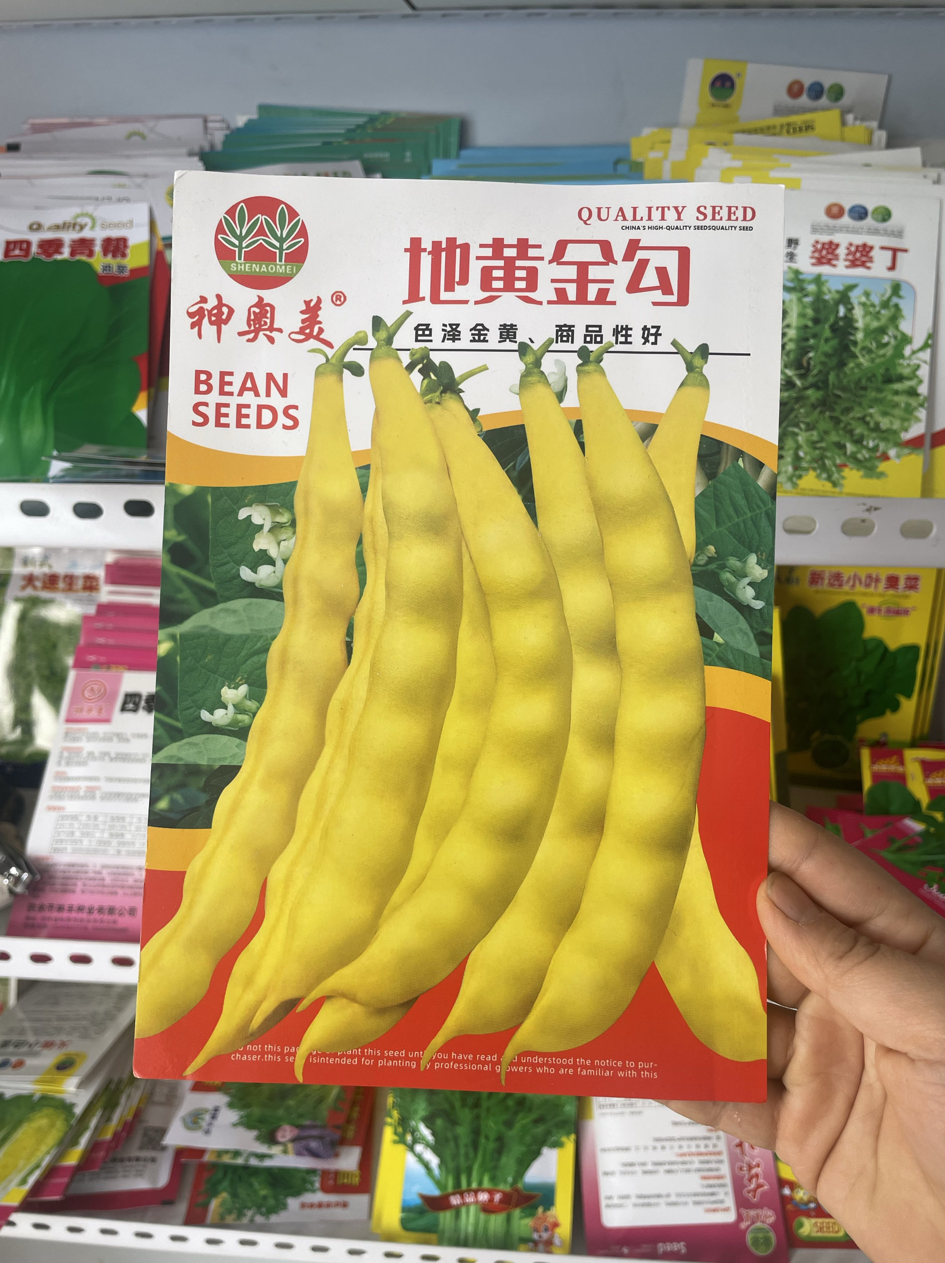 地黄金钩豆角种子早熟黄金钩豆角籽春夏秋种植蔬菜种子矮生不搭架,农用物资,蔬菜种子/种苗,淘宝优惠券,粉丝福利购,淘宝优惠卷