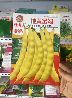 地黄金钩豆角种子早熟黄金钩豆角籽春夏秋种植蔬菜种子矮生不搭架