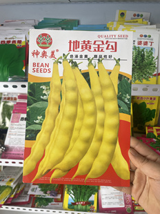 地黄金钩豆角种子早熟黄金钩豆角籽春夏秋种植蔬菜种子矮生不搭架