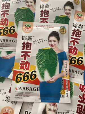 抱不动666大白菜种子农家包心大白菜籽冬储大白菜种籽秋种40克