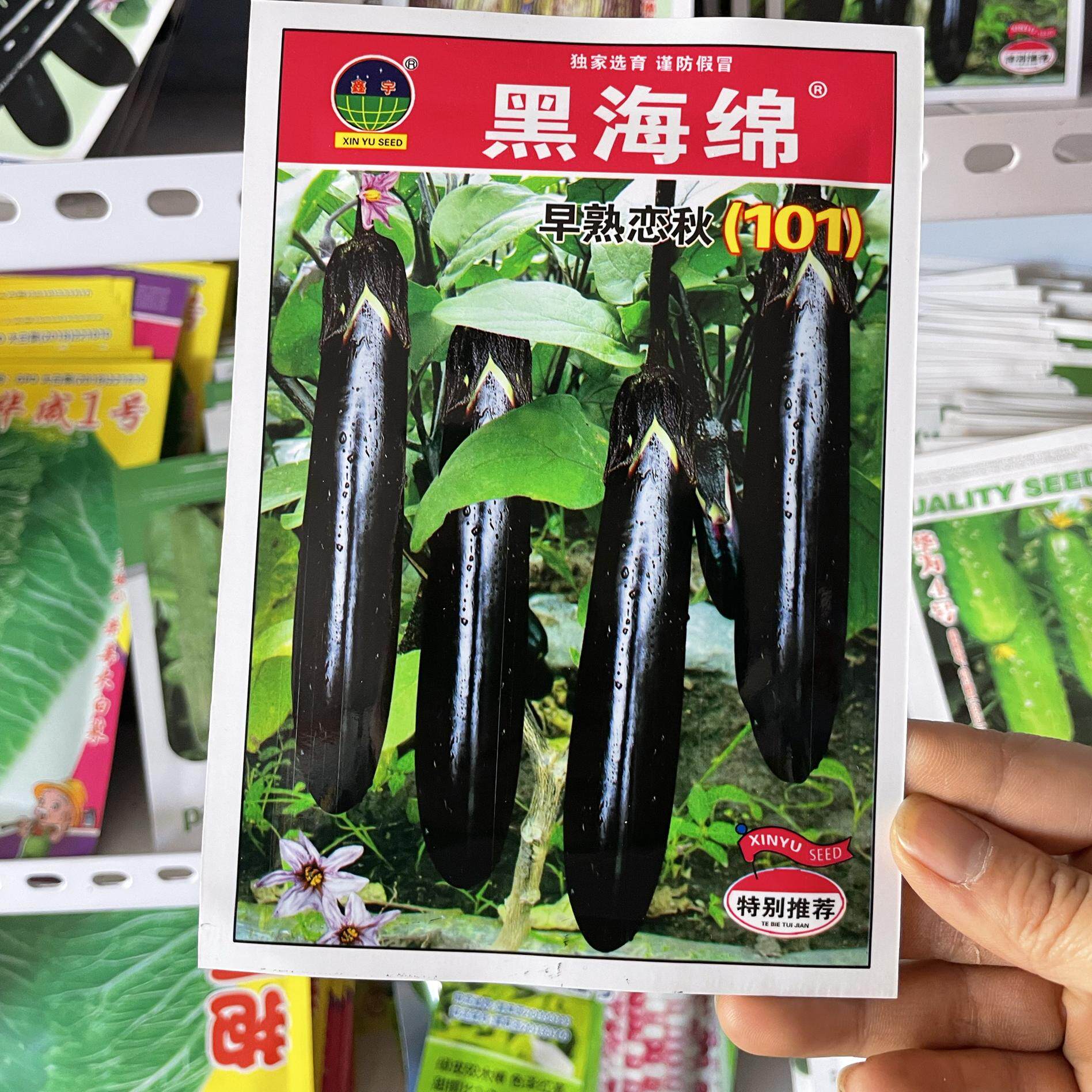 黑海绵茄子种子东北农家茄子籽紫黑长茄子种籽面糊皮薄恋秋10克