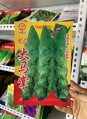 新籽东北农家豆角籽大马掌油豆角种子架豆油豆角子蔬菜种籽原种