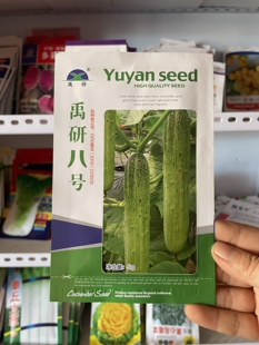 禹研八号东北农家旱黄瓜种子黑刺黄瓜籽纯雌绿瓤水果黄瓜种籽包邮