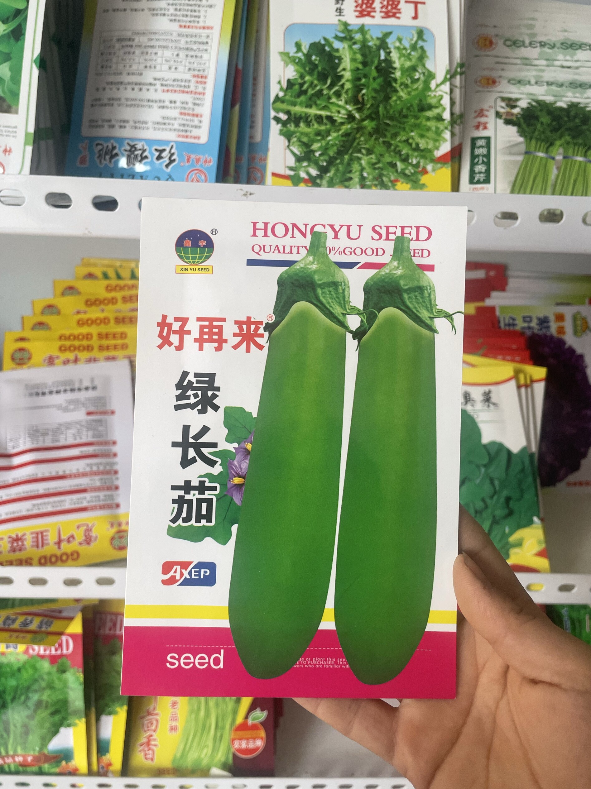 好再来绿长茄种子东北农家青皮茄子籽早熟油绿长茄种籽家庭菜园