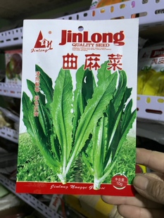 东北苦麻菜种子非野生曲麻菜籽春季蔬菜种阳台庭院5克满8元包邮