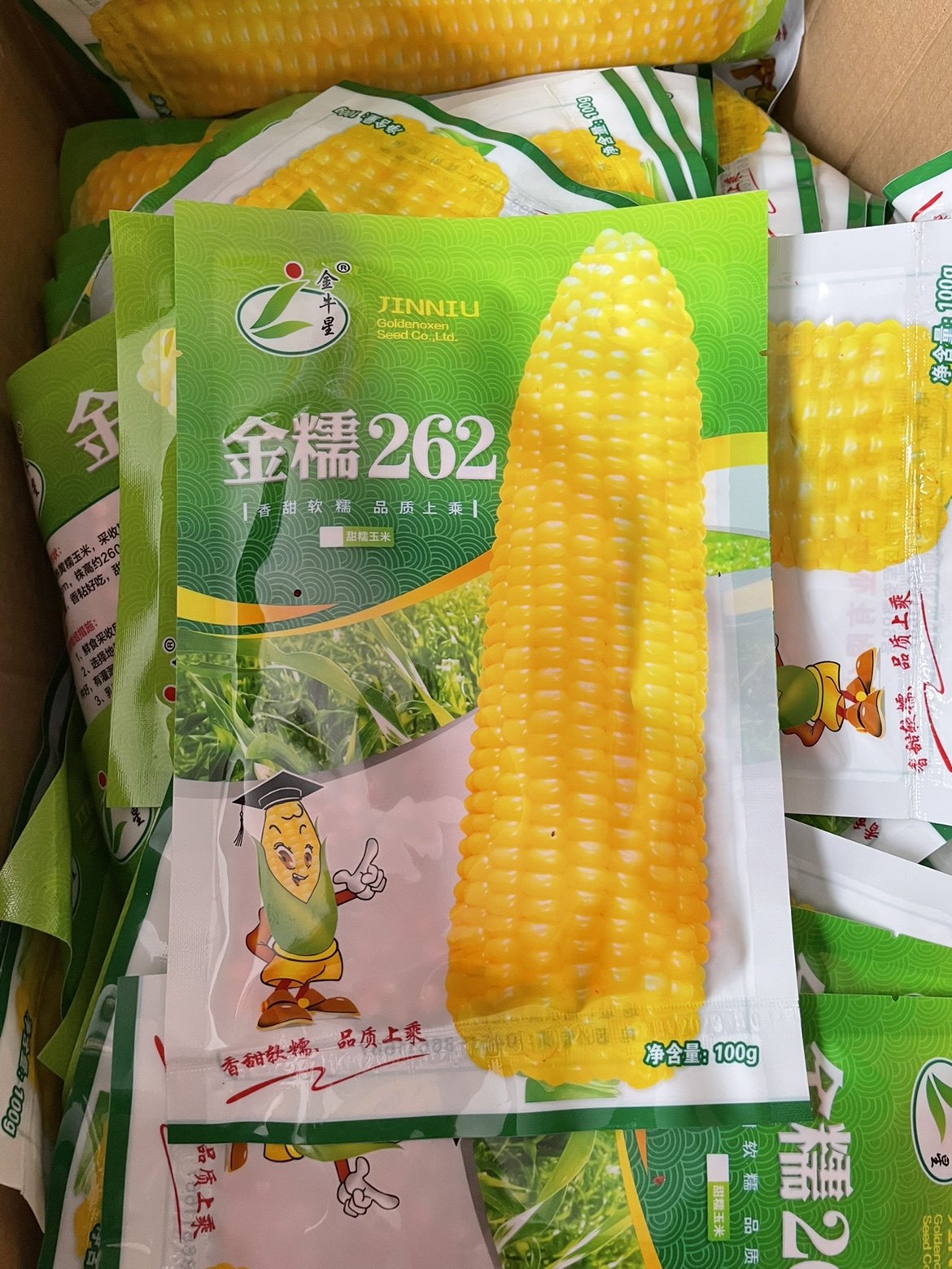 金牛星金糯262甜糯玉米种子东北粘苞米籽粘玉米种籽大棒不秃尖