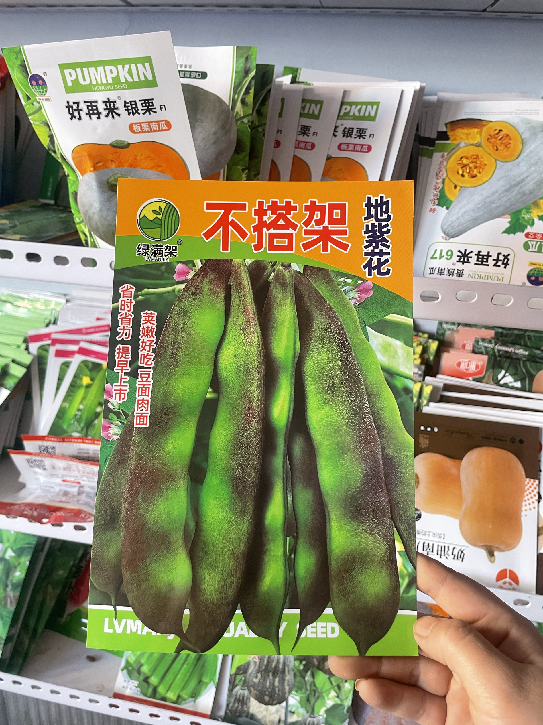 不搭架地紫花油豆角种子东北农家豆角籽矮生墩豆角种籽无筋早熟,农用物资,蔬菜种子/种苗,淘宝优惠券,粉丝福利购,淘宝优惠卷