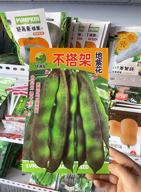 不搭架地紫花油豆角种子东北农家豆角籽矮生墩豆角种籽无筋早熟