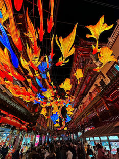 网红锦鲤鱼灯装 饰灯户外防雨 饰商场步行街景区古镇公园造型装