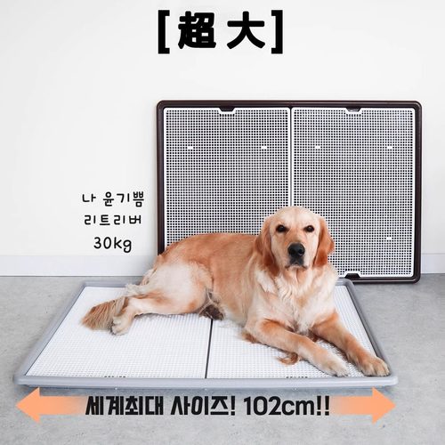 特大号金毛狗狗用品DINGDONGPET