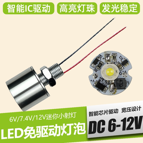 聚光高亮大功率12v电瓶led灯珠