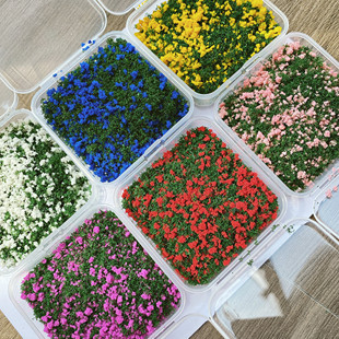 junk journal复古艺术垃圾杂志手帐仿真花草组合手帐场景模拟树粉