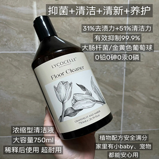 绽家蓝桉叶精油地板清洁剂750ml抑菌香氛木地板瓷砖拖地清洁