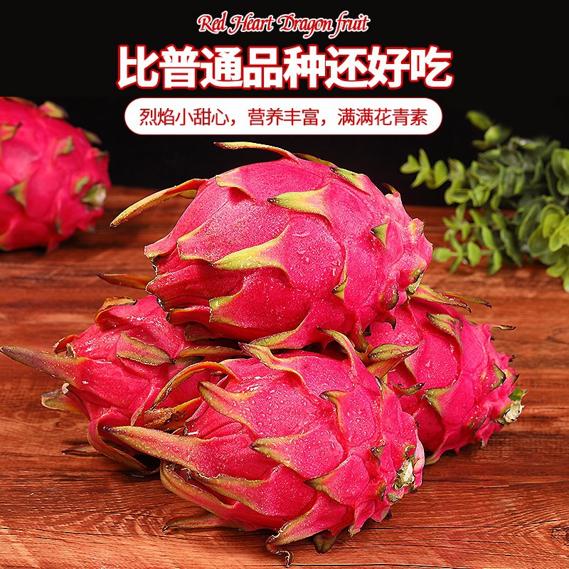 金都一号红心火龙果水果5斤整箱大果红肉包邮产地直发现摘果色