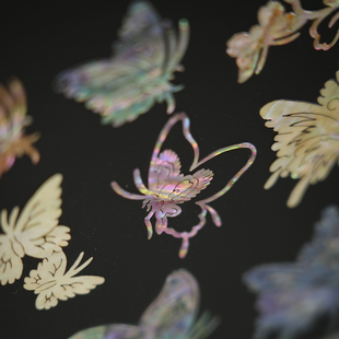 贝壳花贴片镶嵌天然蜻蜓蝴蝶类螺钿贝壳手工DIY贝壳镶嵌贴面材料