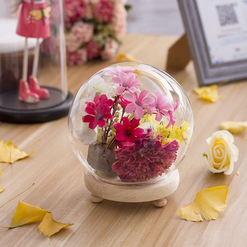 永生花玻璃罩展示盒 diy手办装饰桌面摆件干花透明防尘罩工艺品