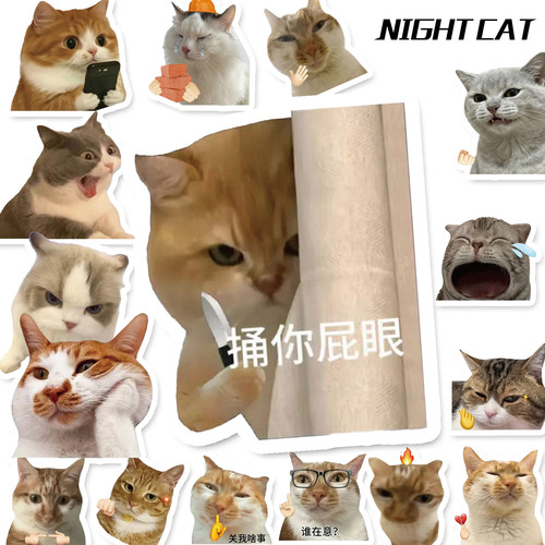 电动车猫咪表情包划痕贴