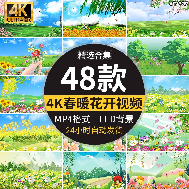 春天春暖花开花海花瓣飘落盛开清新花草树木绿草LED背景视频素材