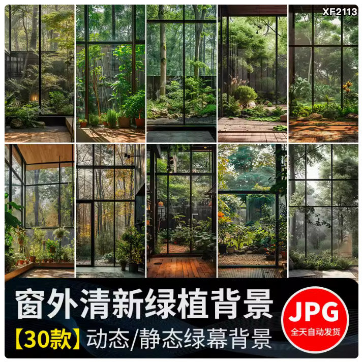 窗外绿植物树林室内绿色清新虚拟动态视频绿幕直播间背景图片素材