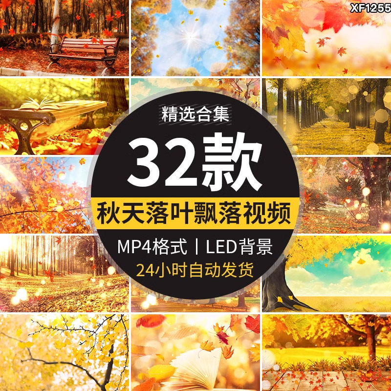 枫叶银杏树叶飘落叶红叶金秋婚礼晚会舞台led大屏幕背景视频素材