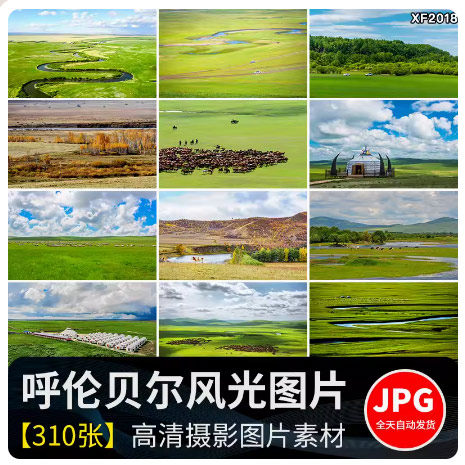 内蒙古呼伦贝尔大草原草地旅游风景牛羊马群牧场摄影高清图片素材