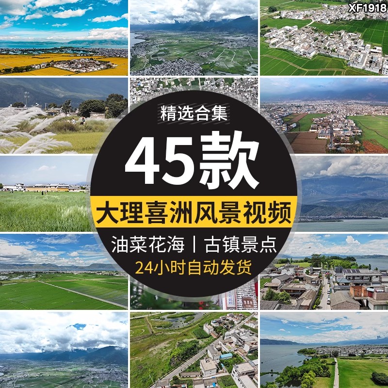 云南大理喜洲古镇旅游景点自然风景油菜花海农村全貌航拍视频素材