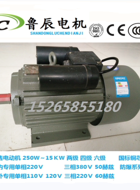 出口单项电动机四级250/370/550/750/1100瓦W110/230V伏60HZ赫兹