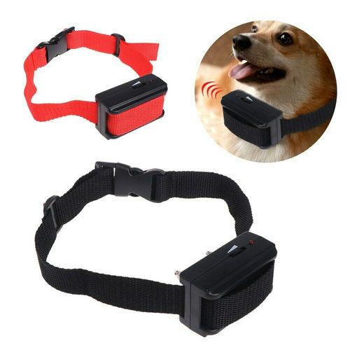 特价泰迪可调灵敏度中小犬止吠器