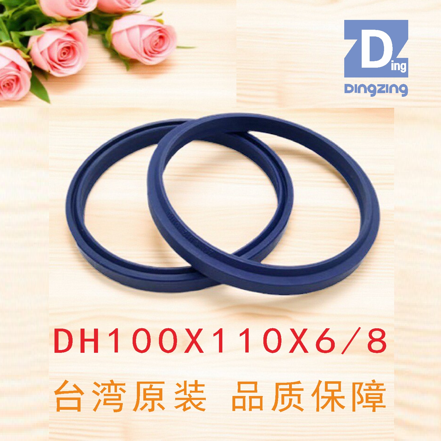 DH100X110X6/8防尘圈DINGZINGDZ