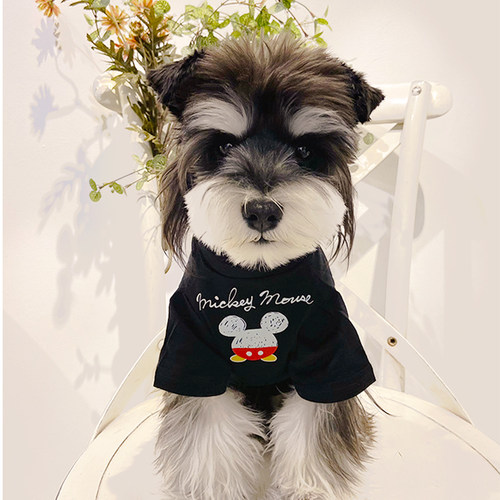 魔宠小镇宠物亲子装潮牌棉T恤夏