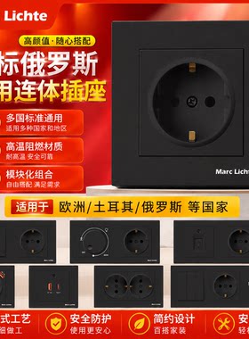 二圆16A俄罗斯面板德式开关开单